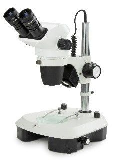 binocular stereo zoom microscope nexius zoom evo for embryo research