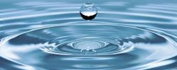 Demineralisiertes Wasser 100ml