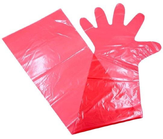 insemination gloves standardred 100pieces