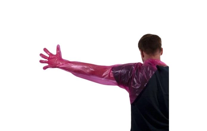 inseminationgloves with neck strap 50box