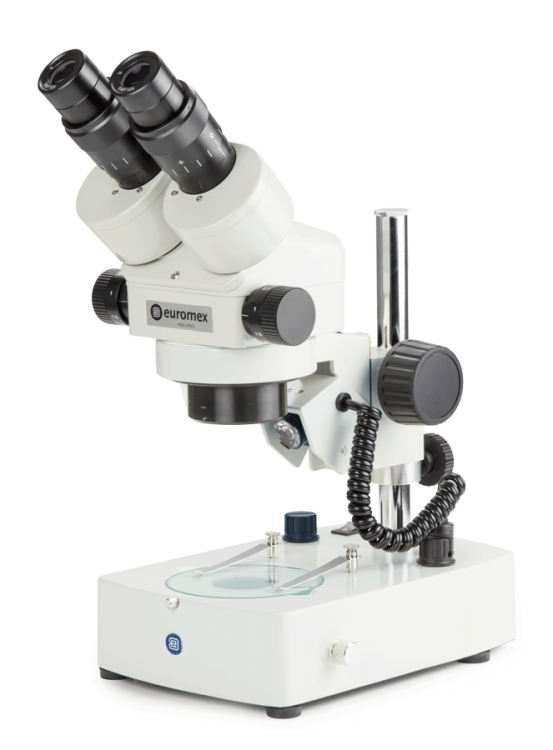 stereomikroskope embryo zserie trinokular 
