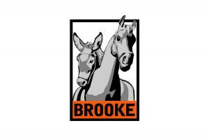 Brooke Hospital for animals